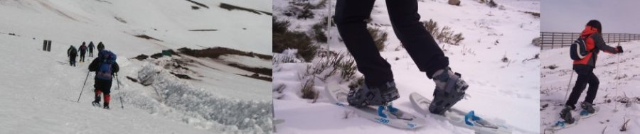 Alquiler de raquetas de nieve en Villablino Leitariegos