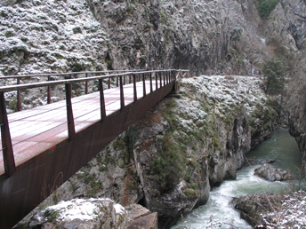 Puente en la senda del Oso