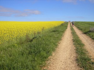 primera nevada villablino leitariegos