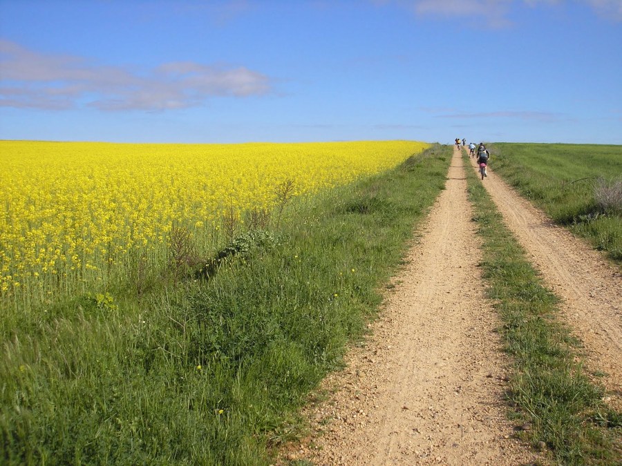 primavera bicicleta camino de santiago alquiler