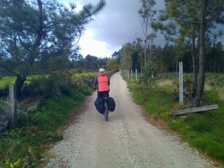 alquiler de bicicletas Camino primavera
