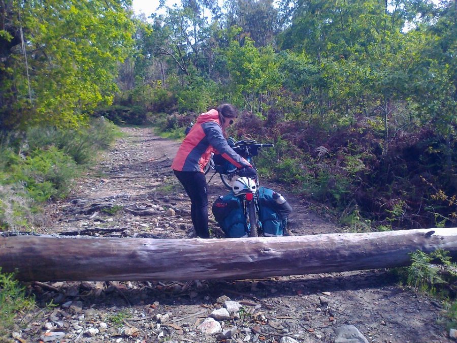 obstaculo en el camino de santiago para la bicicleta